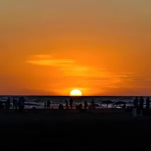 https://apartamento-de-2-dormitorios-lugar-conil-de-la-frontera.es-andalucia.com